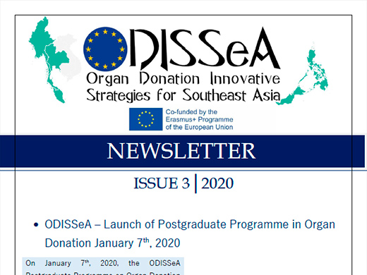 3rd Newsletter of ODISSeA Project (PDF - 1.130KB)